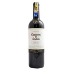 Vino-Tinto-Casillero-del-Diablo-750-ml-Merlot