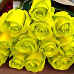 25-rosas-amarillas-50-cms-Art-Roses
