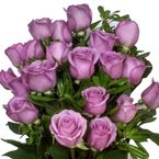 25-rosas-lilas-50-cms-Art-Roses