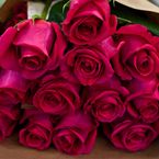 25-rosas-rojas-60-cms-Art-Roses