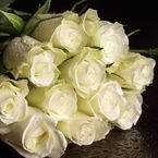 25-rosas-blancas-60-cms-Art-Roses
