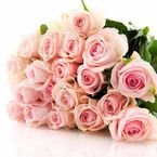 25-rosas-rosadas-60-cms-Art-Roses