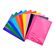 Carpeta-Folder-plastica-A4-Extreme-Neon