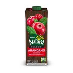 Bebida-Natura-Select-1-L-Arandano